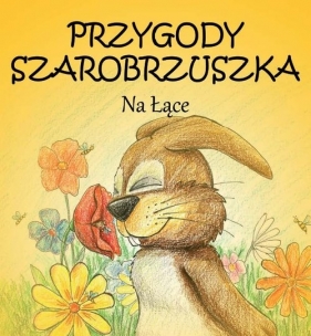Przygody Szarobrzuszka - Sadowska Barbara<br />