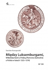 Między Luksemburgami, Wittelsbachami a Polską Stanisław Nowogrodzki