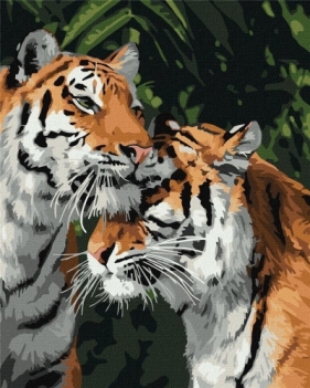 Malowanie po numerach - Tygrys miłości 40x50cm