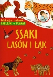 Ssaki lasów i łąk. Młody obserwator przyrody