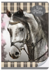 Zeszyt A5 w kratkę 60 kartek Nice and pretty 5 sztuk mix - <br />