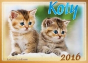 Kalendarz rodzinny 2016 Koty