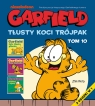Garfield. Tłusty koci trójpak. Tom 10