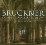 Bruckner: Complete Masses & Te Deum  Rundfunkchor Berlin, Rundfunk-Sinfonieorchester Berlin, Heinz Rogner, Nicol Matt