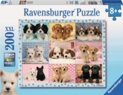Puzzle 200 Idealne szczeniaki