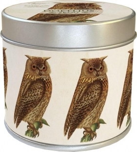 Zapachowa świeczka sowa - zapach leśny