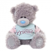 Miś 18 cm w koszulce Special Friend - <br />