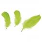 Piórka dekoracyjne - jaskrawozielone (414326)