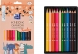 Kredki ołówkowe Oxford Kids Jumbo 12 kolorów