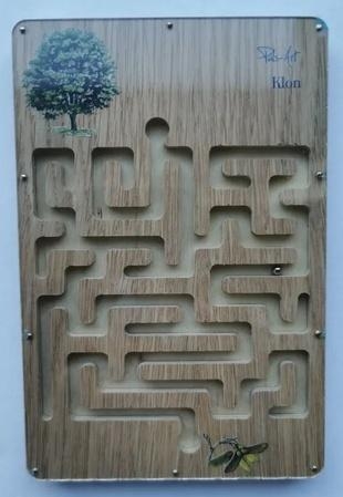 Labirynt przyrodniczy Klon