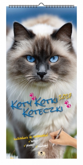 Kalendarz 2027 paskowy szeroki - koty, kotki, koteczki