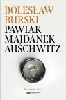 Pawiak, Majdanek, Auschwitz Bolesław Burski