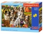 Puzzle 260 Happy Dogs In The Countryside CASTOR