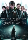 Fantastyczne zwierzęta. Zbrodnie Grindelwalda DVD David Yates