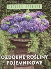 Ozdobne rośliny pojemnikowe