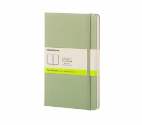 Notes Moleskine Classic L gładki pistacjowy