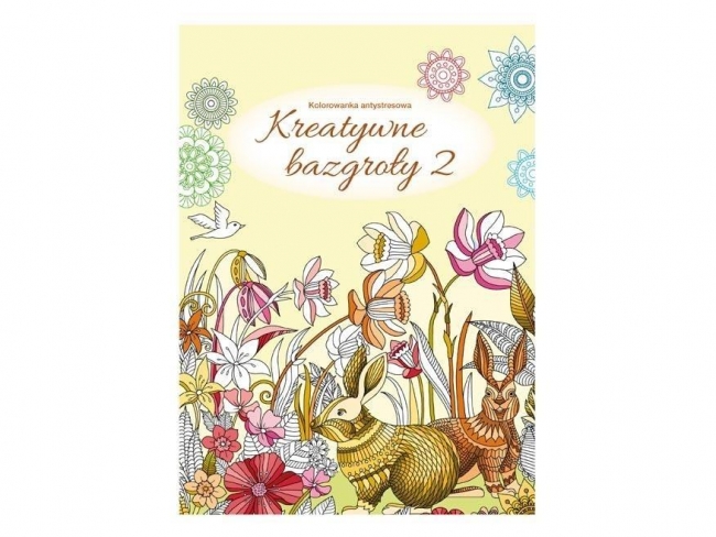 <img src='https://webimage.pl/pics/700/4/d8595724454700.jpg' style='height:440px' /> Kolorowanka antystresowa Kreatywne bazgroły