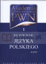 Akademia Języka Polskiego PWN 1 Słownik Języka Polskiego a-poc (Uszkodzona okładka)
