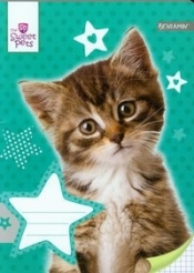 Zeszyt A5 Sweet Pets w kratkę 16 kartek Kot - <br />