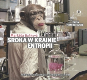 Sroka w krainie entropii - Bankova Marketa