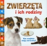 Zwierzęta i ich rodziny