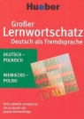 Duży słownik tematyczny niemiecko-polski + CD