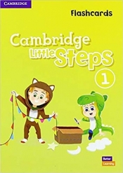 Cambridge Little Steps 1. Flashcards
