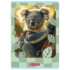 Zeszyt Herlitz Standard Animals A5/16k kratka, 1 szt