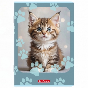 Zeszyt Herlitz Standard Animals A5/16k kratka, 1 szt