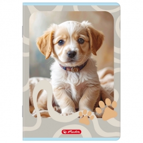 Zeszyt Herlitz Standard Animals A5/16k kratka, 1 szt