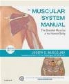 The Muscular System Manual Joseph Muscolino