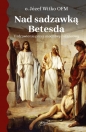 Nad sadzawką Betesda - Józef Witko