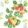 Serwetki Paw Garden Apple - mix 330 mm x 330 mm (SDL124700)