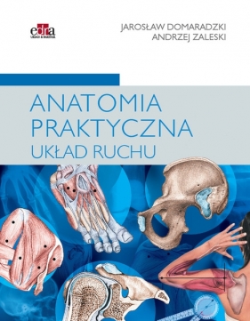 Anatomia praktyczna Układ ruchu - Zaleski A., Domaradzki J.