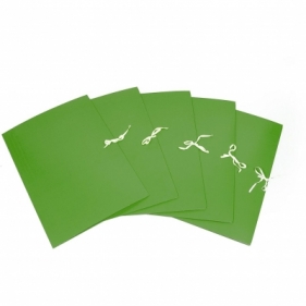 Teczka kartonowa wiązana Emerson A4 kolor: zielony 300 g (tcka4ziew30010)