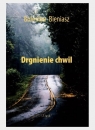 Drgnienie chwil