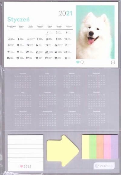 Kalendarz 2021 Biurkowy I love Dogs