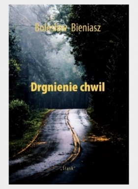 Drgnienie chwil - Bolesław Bieniasz