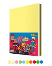 Papier ksero A4 80g 10 kolorów 250 arkuszy