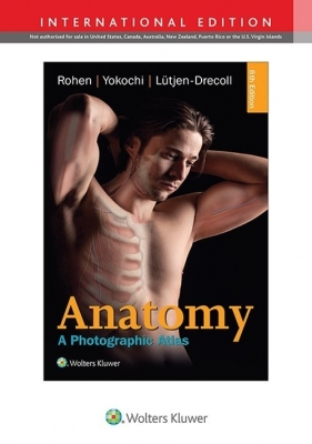 Anatomy: A Photographic Atlas 8e - Johannes W. Rohen, Chihiro Yokochi, Elke Lutjen-Drecoll