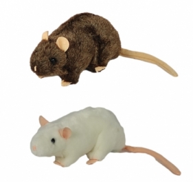Szczur 20cm