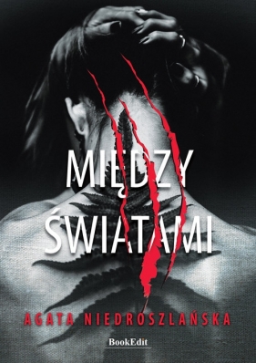 Między światami - Agata Niedroszlańska