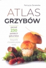 Atlas grzybów Patrycja Zarawska