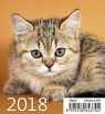 Kalendarz 2018 Biurkowy Mini Kotki