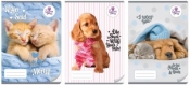 Zeszyt A4/32K kolor 3-linie The sweet pets (10szt)