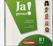 Ja genau! B1/1 - <br />