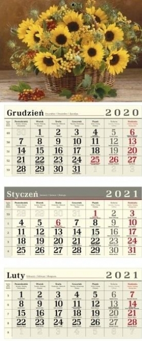 Kalendarz 2021 Trójdzielny Poster MIX