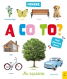 Powiedz a co to ? Na spacerze Opracowanie zbiorowe