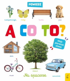 Powiedz a co to ? Na spacerze - Opracowanie zbiorowe