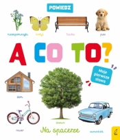 Powiedz a co to ? Na spacerze - Opracowanie zbiorowe